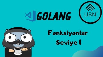 [Golang] Fonksiyonlar Seviye 1