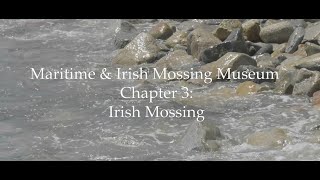 Download lagu Chronicles of Scituate: Irish Mossing