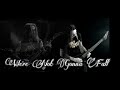 Children of Bodom - We&#39;re Not Gonna Fall (solo cover)