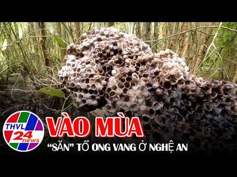 Vào mùa “săn”