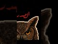ماذا جرى أيتها الكتومه 💔. #جيش_التوت_الازرق#توت_ازرق #فلسطين #فلسطين_حرة #احبكم💗#متابعيني_ورده #قرآن