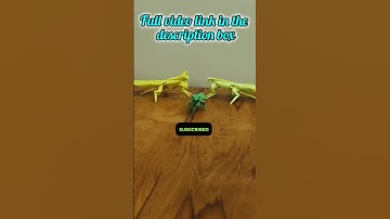 Paper craft grasshopper || #grasshopper #grasshoppertutorial #shorts