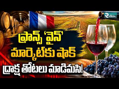A 70-year Low In The Vineyards: How France’s Wine Crisis Is Reshaping The Global Market | R Stream