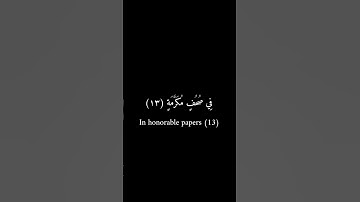 كرومات سوداء _ عمرو بن علي الترباني _ سورة عبس #كرومات_سوداء #قران_كريم #تلاوة_خاشعة