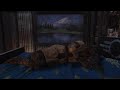 A Quick pop over to see the new neighbors pool then back Home in Fallout 76