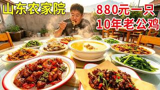 山东日照山脚农家院，880元一只10年老公鸡，想吃还得提前预定#麦总去哪吃