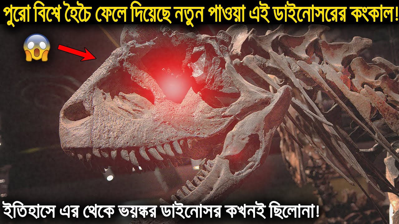 Latest Title & Thumbnail