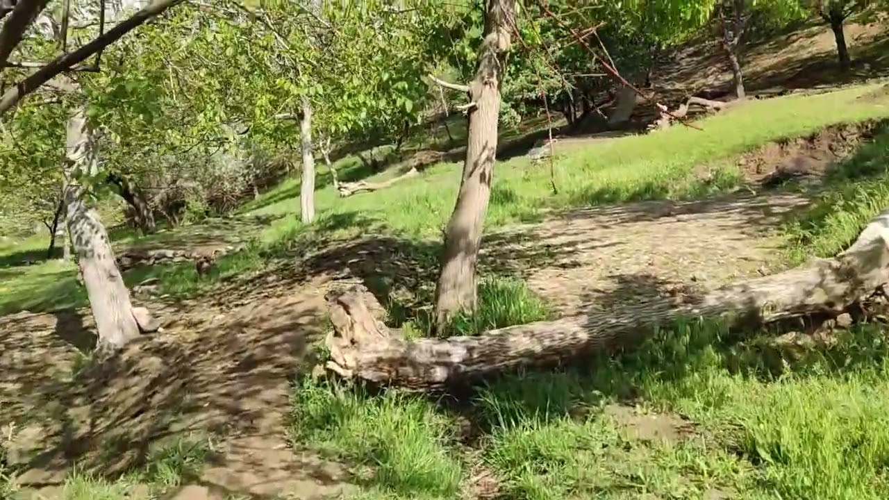 Navoiy Nurota Langar tabiati