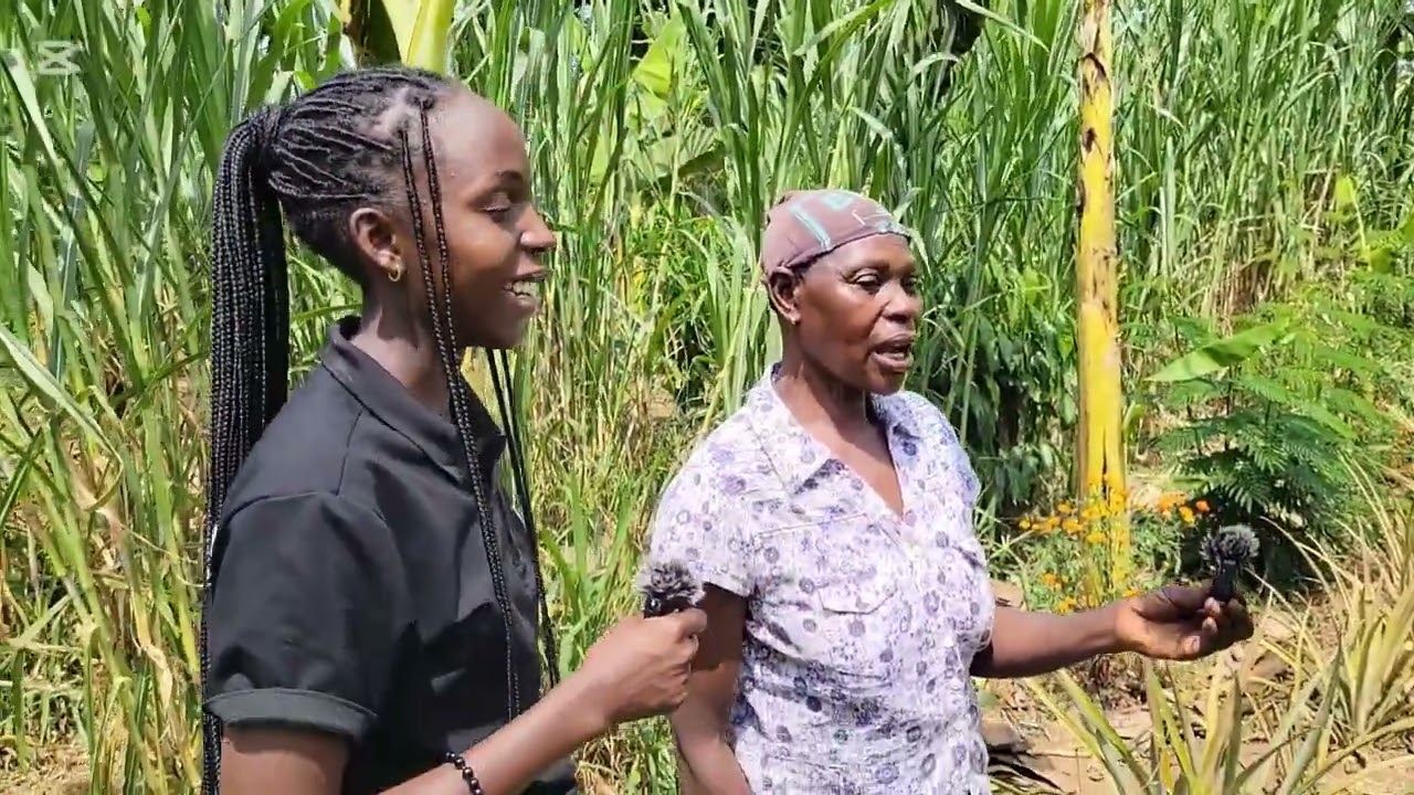 Regenerative groforestry love story with mr.Peter and his wife.