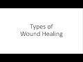 Types of Wound Healing - For Medical Students