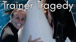 Famous The Start of SeaWorld’s Downfall: Dawn Brancheau and Tilikum Net Worth