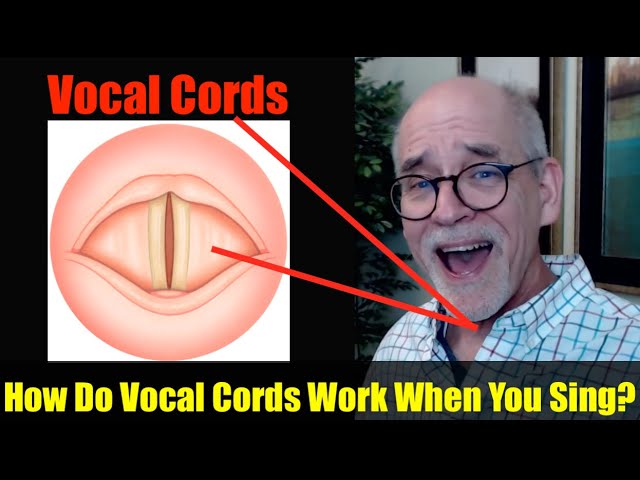 How Do Vocal Cords Work When You Sing?