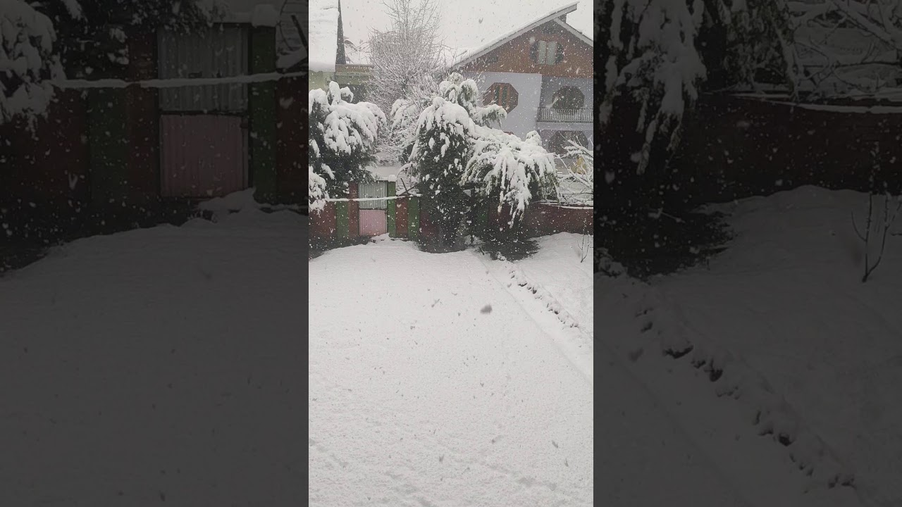 Heavy Snowfall video from Srinagar ,Kashmir .5 January , 2021. illahi Bagh ,Buchpora spot