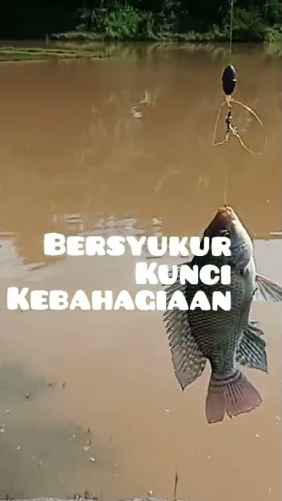 Kata bijak mutiara oleh pemancing