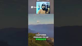 Bug Corrigido O Problema do Casarão nas Montanhas #thehunter #cotw #podcast