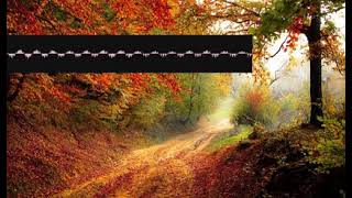 Universityindie Electroacoustic pgyynimedz