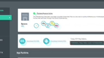 IBM BlueMix Sales Associate Demo