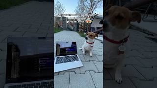 Nowy pracownik 😈 #dlaciebie #musicproducer #flstudio #fyp #music