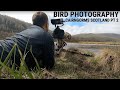 WILDLIFE/BIRD PHOTOGRAPHY | CAIRNGORMS, SCOTLAND | Part 2