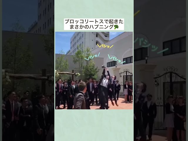 ブロッコリートス