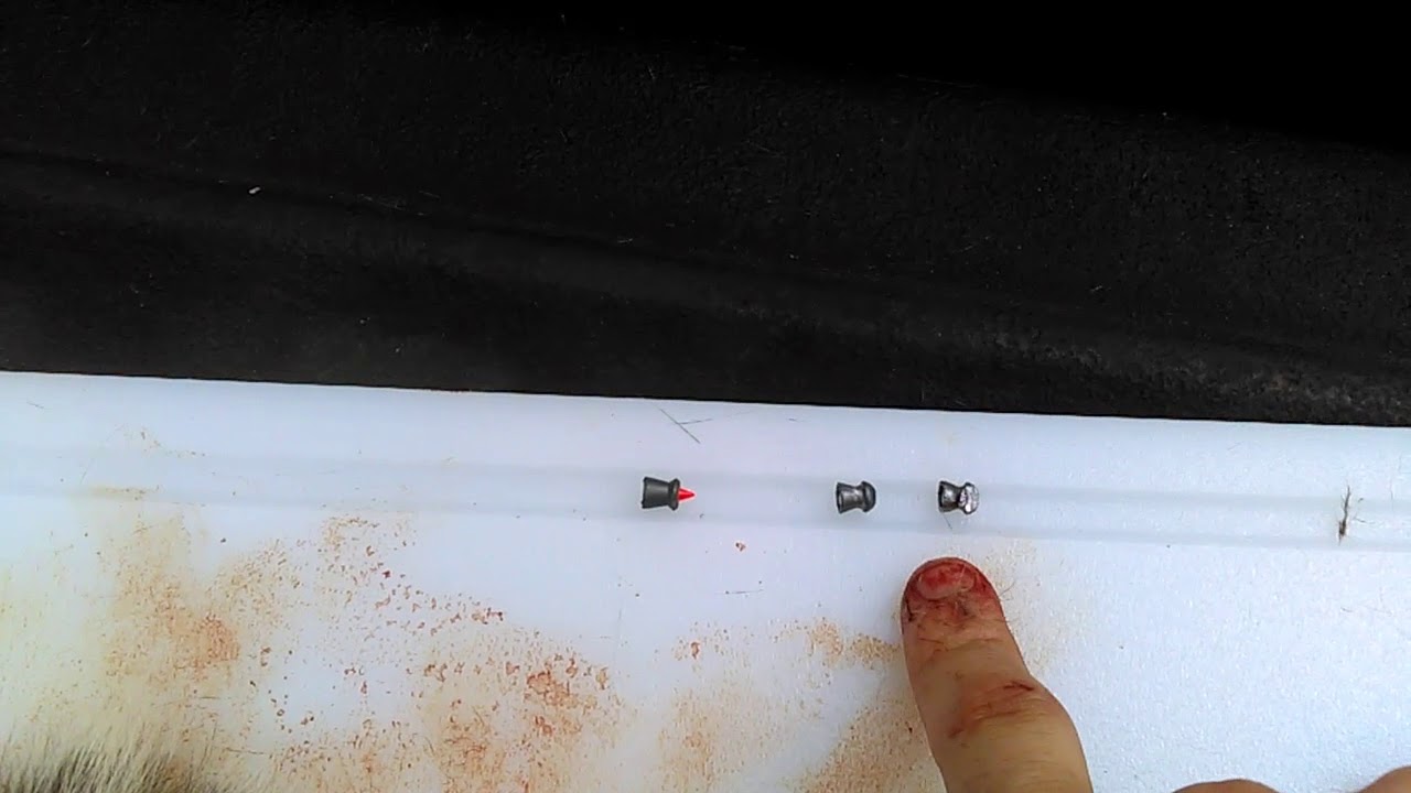 Showing pellet gun damage 30yds and more YouTube