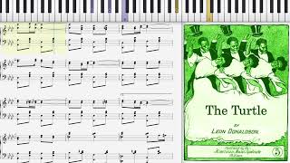The Turtle Rag by Leon Donaldson (1905, Ragtime piano)