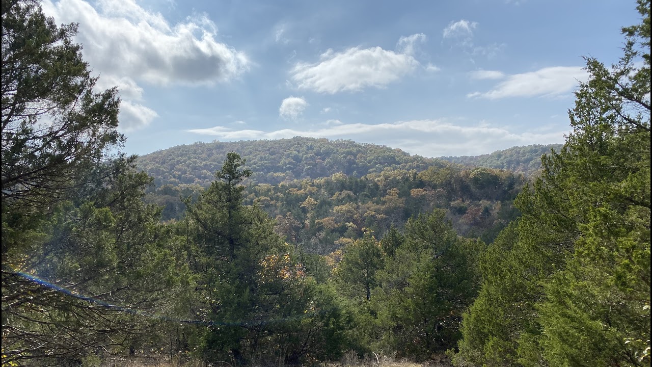 Fraser Cain Answers Back to Jungle Jargon