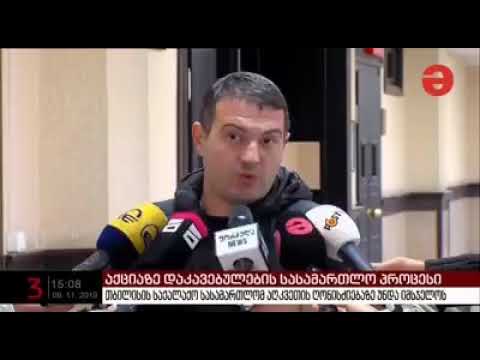 ერმილე ნემსაძე 8 ნოემბერის აქციაზე დაკავებული აქტივისტების შესახებ