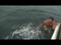Shark Attack Near Miss (MUST SEE)