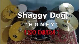 SHAGGY DOG - HONEY (NO SOUND DRUM)