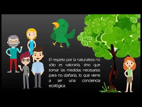 Video: Sobre El Respeto Al Medio Ambiente De Las Mentiras