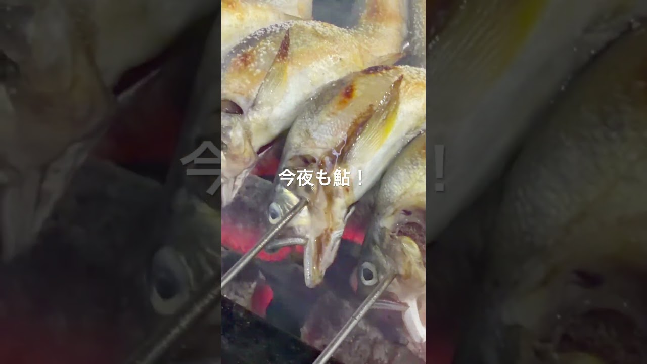 この季節毎日50本場焼いてます!#あゆ #炭焼き #料理人 #料理 #cooking #日本人の技