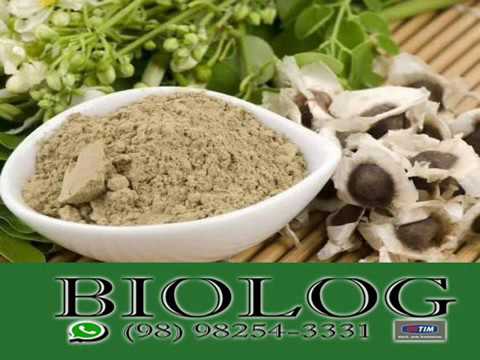 planta moringa para q serve