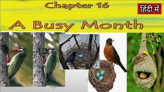 A BUSY MONTH - Class 4 EVS Chapter 16 हिंदी में  | NCERT class 4 EVS | CBSE Class 4 EVS