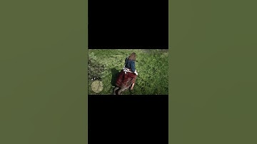 RDR2 #shorts #shortsvideo #reddeadredemption
