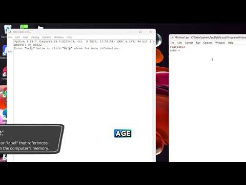 Python Basics in Under 60 Seconds! (print, input, variables)
