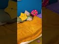 SECRETELY LIVING IN A MATRESS !🤫