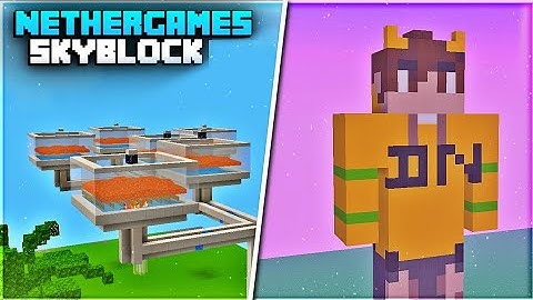I become Richest player on nethergames skyblock in 24 Hours
