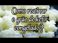 Kefir como descongelar os grãos de kefir? Passo a passo.