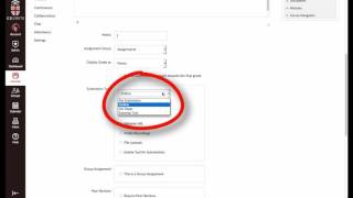Create a Namecoach Recording Canvas Assignment