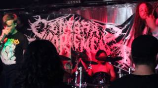 Cerebral Engorgement - Putrid Insectoid Fuckification