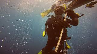 4K Aow Diving, Kumomi, Izu, Shizuoka, Japan Sep 9, 2022