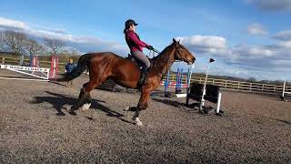 220409_Arena Technical lines and fences for Xc (4)