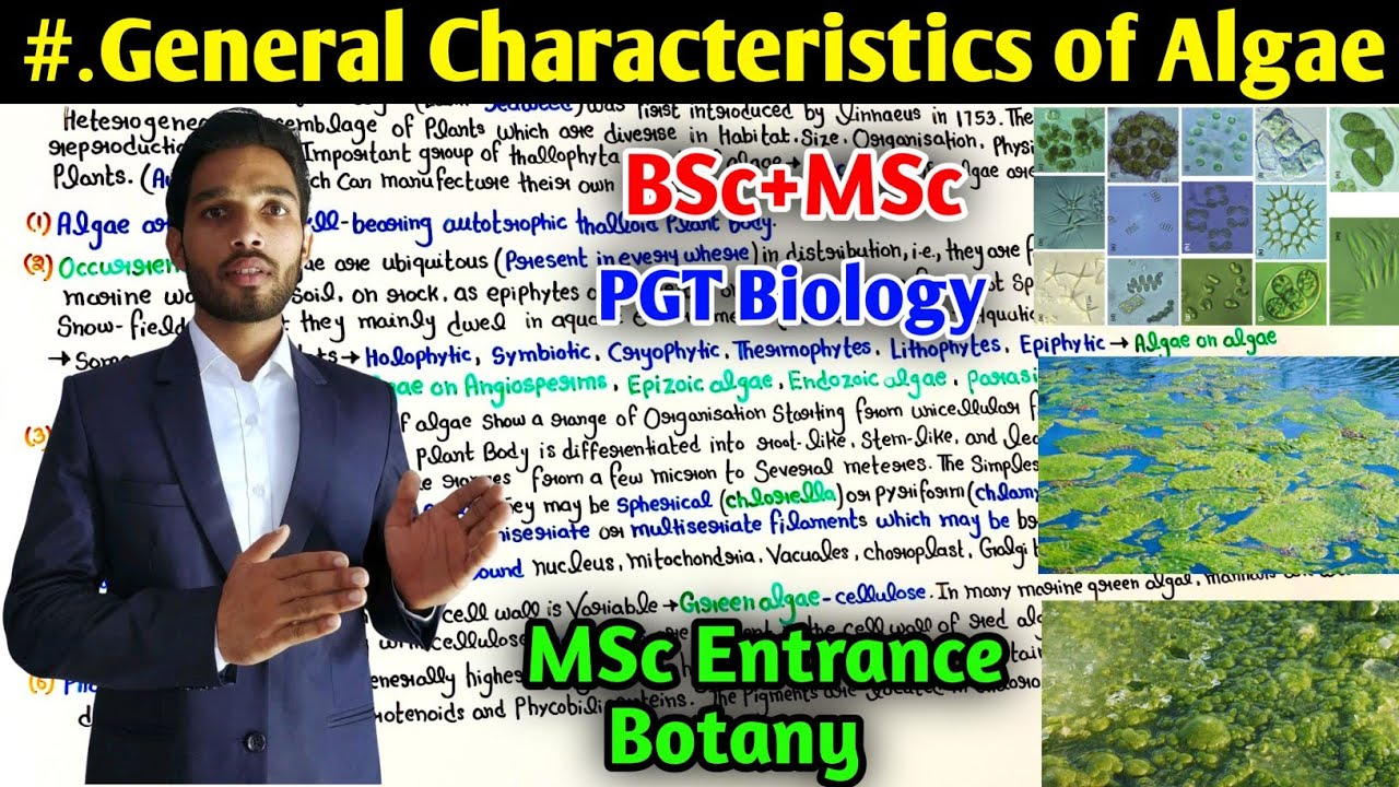 General Characteristics of Algae || BSc || MSc || PGT Biology || MSc Entrance Exam || Algae Notes