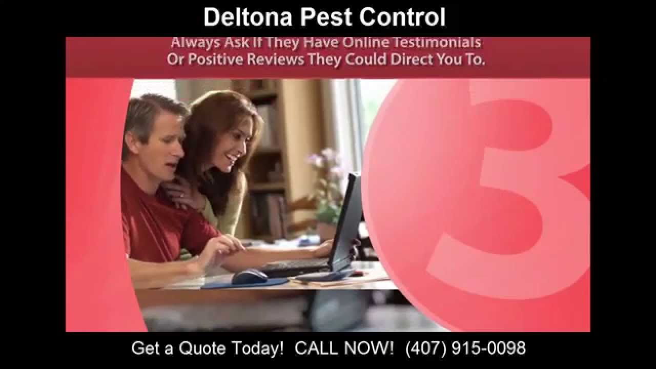Deltona Pest Control (407) 9150098 Pest Control Deltona FL YouTube