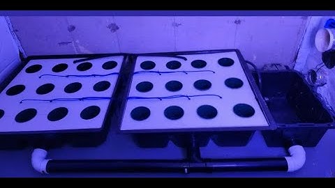 How to build a Diy Rdwc Tray System. Final Steps  part #3