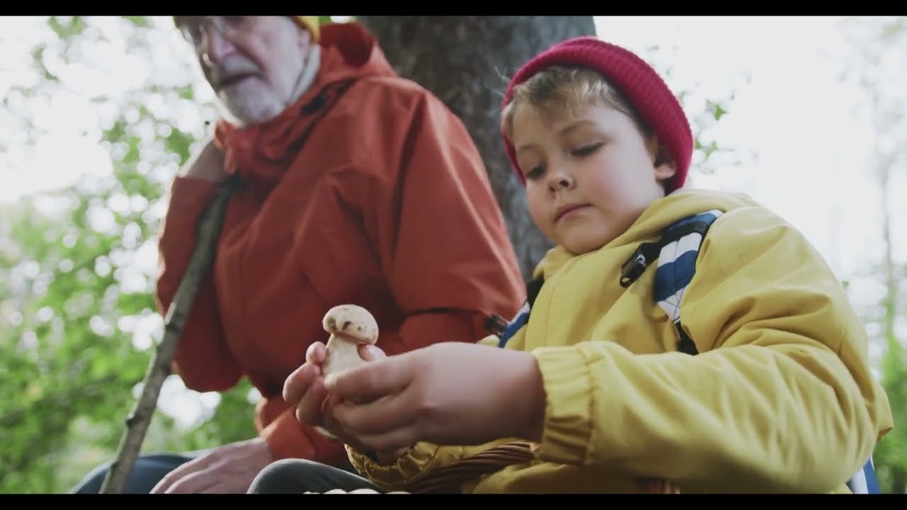 HOUBA, která OVLÁDÁ MOZEK?!