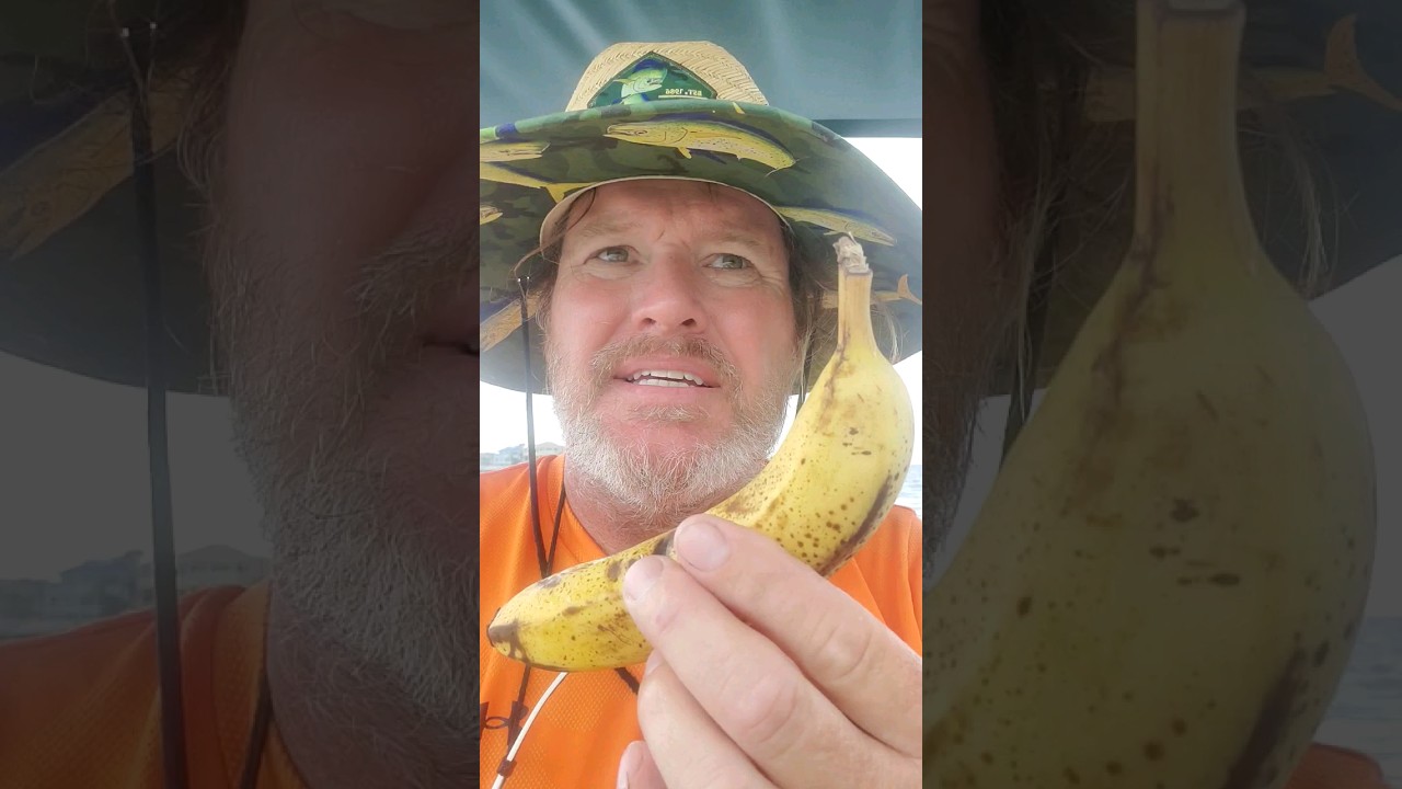 Do not bring bananas on boats! 