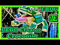 【かなりリアル！！】レゴクリエイター ワニ カエル編 31121 [3/3] LEGO Creator Crocodile Frog Edition