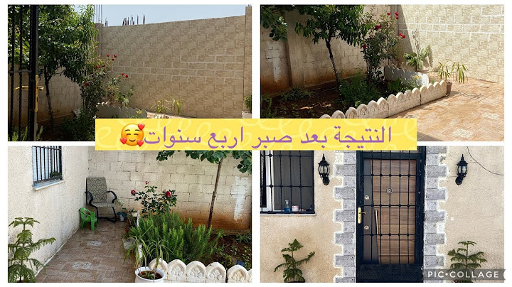 أمال الجزائرية 🌸وأخيرا النتيجة النهائية لساحة البيت 🥰وقعدة على المائدة الجزائرية ترد الروح ❤️